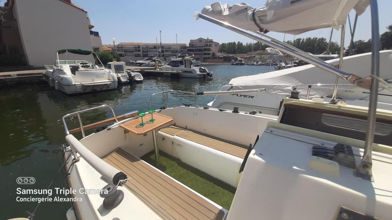 Nuit Insolite A Bord De L'Enata Un Voilier A Quai Sur La Marina De St Cyprien Сен-Сиприен Экстерьер фото
